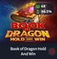 book-of-dragon